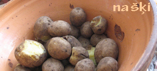 Našķi