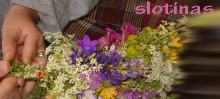 Slotiņas